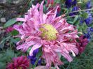 IMG_20140913_145904