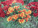 DSCN7657