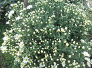 DSCN7668
