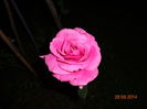 DSC00054