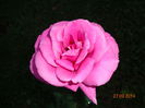 DSC00077