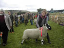 Berbec Derbyshire Gritstone frumos