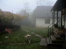 Prin ceata si ploaie.. (65)