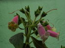 DSCN1598