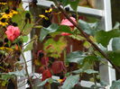 DSCN1603