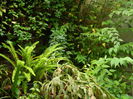 DSCN1664