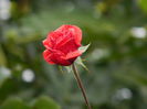 DSCN1670
