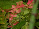 DSCN1671