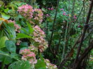 DSCN1673