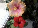 20141024_092315
