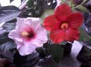 20141024_092427