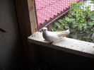 DSCN0061