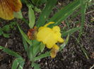 DSCF3072