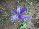 DSCF3150