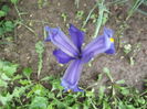 DSCF3152