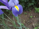 DSCF3155