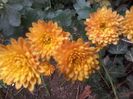 20141025_162828