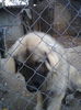 Photo0024