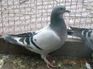 DSCN4527