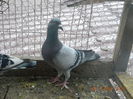 DSCN4547