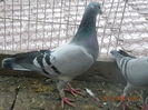 DSCN4557