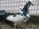 DSCN4438