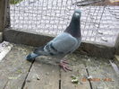 DSCN4452