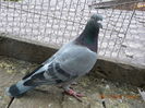 DSCN4454