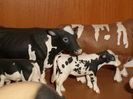 Holstein - Schleich