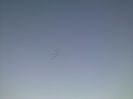 Imag 011875