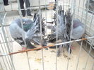DSCN1361