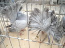 DSCN1362