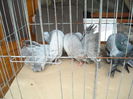 DSCN1385