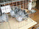 DSCN1388