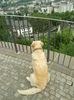 DSCF7764