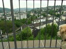 DSCF7766