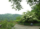 DSCF7780