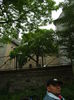 DSCF7795