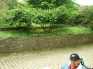 DSCF7796