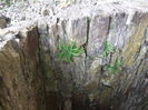 DSCF7825