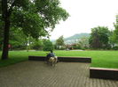 DSCF7846