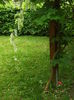 DSCF7852