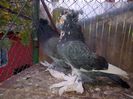 IMG-20141026-01092
