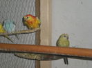 Picture 054