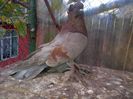 IMG-20141026-01067