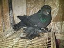 IMG-20141026-01128
