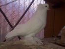 IMG-20141026-01070
