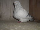 SAM_3981