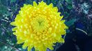 WP_20141014_003
