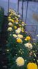 WP_20141024_001